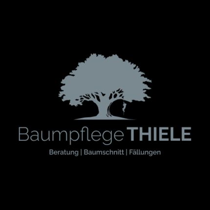 Logotipo de Baumpfelge Thiele