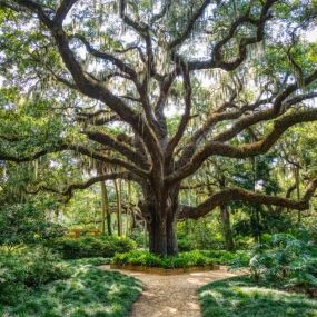 Residents can visit Washington Oaks Gardens State Park, renowned for its natural beauty, historical significance, and diverse attractions