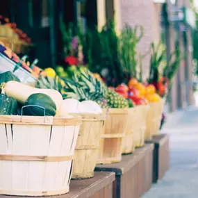 Explore at the Palm Coast Farmer's Market every Sunday at The European Village in Palm Coast