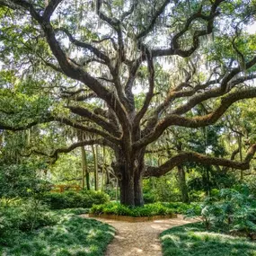 Residents can visit Washington Oaks Gardens State Park, renowned for its natural beauty, historical significance, and diverse attractions