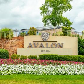 Take a stroll through nearby Avalon