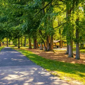 Get some fresh air at Wills Park