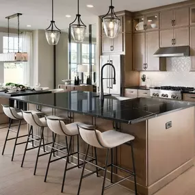 Chef-style kitchen with designer appointed features