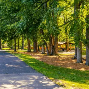 Get some fresh air at Wills Park