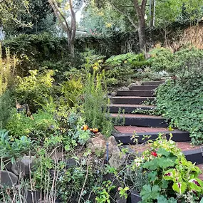 Bild von Vision Landscaping