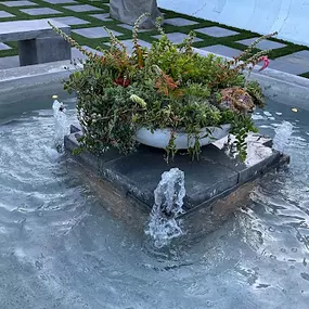 Bild von Vision Landscaping