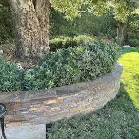 Bild von Vision Landscaping