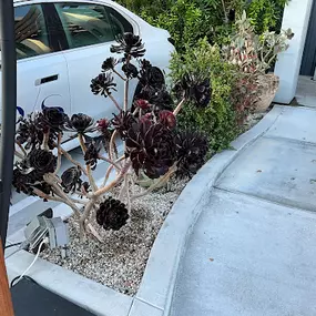Bild von Vision Landscaping