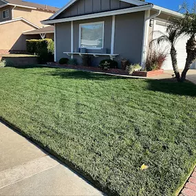 Bild von Vision Landscaping