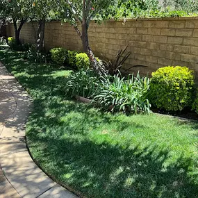Bild von Vision Landscaping