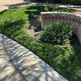 Bild von Vision Landscaping