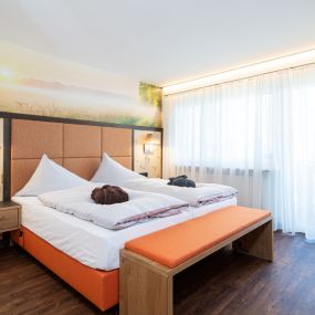 Bild von Thermenhotel Gass