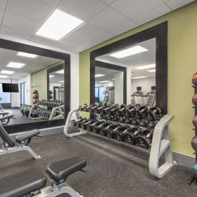 Health club  fitness center  gym