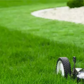 Bild von Island Lawn Care