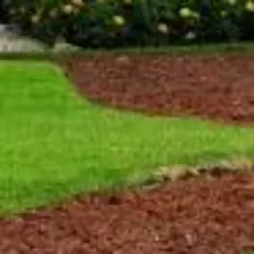 Bild von Island Lawn Care