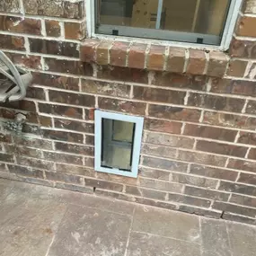 Ace Handyman Services North Irving dog door