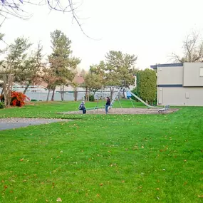 Bild von Umbrella Properties