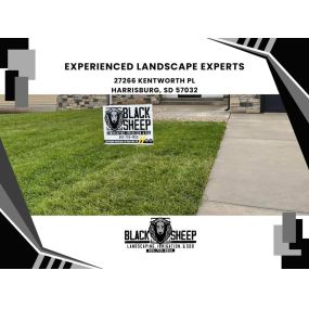 experienced landscape experts
