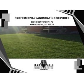 professional landscaping services