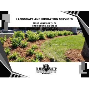 landscape and irrigation services