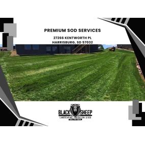 premium sod services