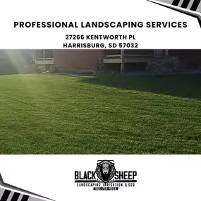 professional landscaping services