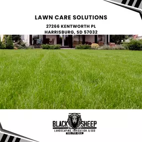 lawn care solutions