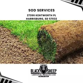 sod services