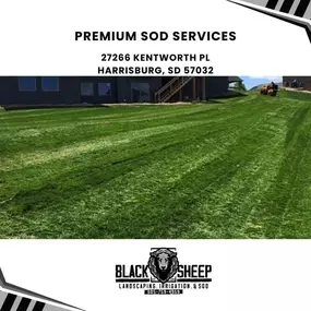 premium sod services