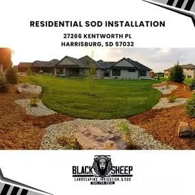 residential sod installation