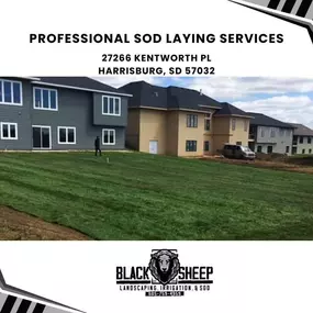 professional sod laying services