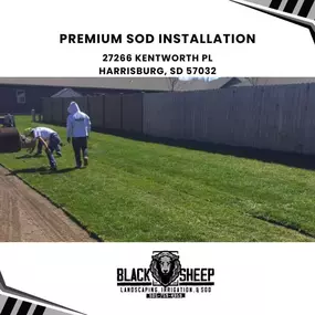 premium sod installation