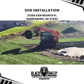sod installation