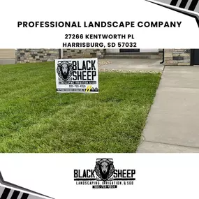 professional landscape company