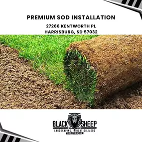 premium sod installation