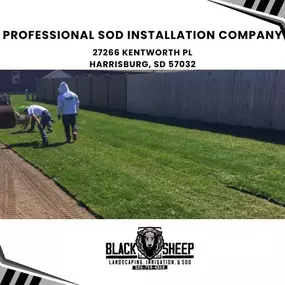 professional sod installation company