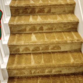 661 Carpet Cleaners-commercial carpet cleaning