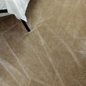 661 Carpet Cleaners-residential carpet cleaning