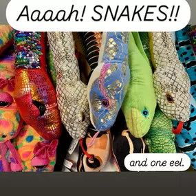 Snakes can be scary in the wild, but at Franklin’s they are soft, stuffed fun!
Many colors and varieties are available so come in and dig through the snake pit!