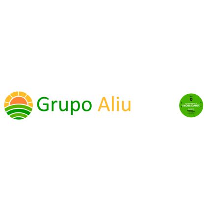 Logotyp från Grupo Aldu