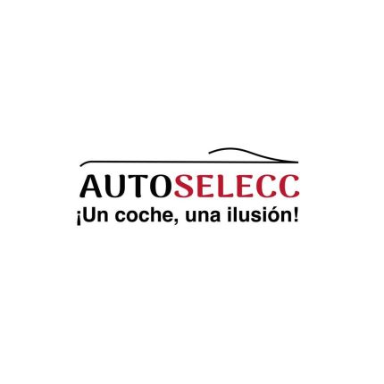 Logo from AutoSelecc