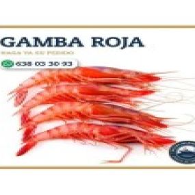 gamba-roja-alistado.jpg