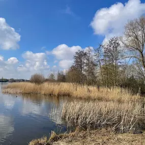 Bild von Martine van der Laar Coachingpraktijk