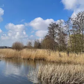 Bild von Martine van der Laar Coachingpraktijk