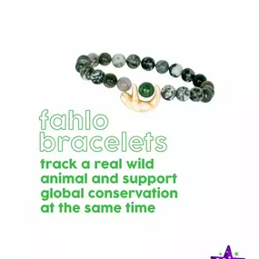 ust in — Fahlo Bracelets!

These aren’t just cute accessories (though yes, they totally are) -- they let you track a real wild animal and support global conservation at the same time.

From sea turtles to elephants to sharks, each bracelet links you to a specific creature out in the wild via a scannable code and interactive map.
We just got these in today and WOW we’re totally hooked.

I’m currently tracking Ping, a dolphin swimming the warm waters off Florida’s coast! ???? How cool is that? I c