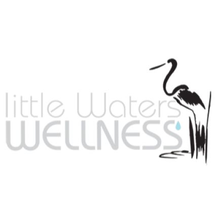 Logotyp från Little Waters Wellness with Dr. Kristina Wodicka