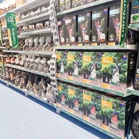 Bild von B&M Home Store with Garden Centre