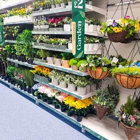 Bild von B&M Home Store with Garden Centre