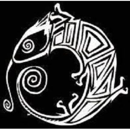 Logo de Disco Camaleón