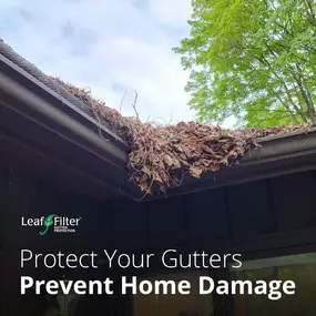 Bild von LeafFilter Gutter Protection